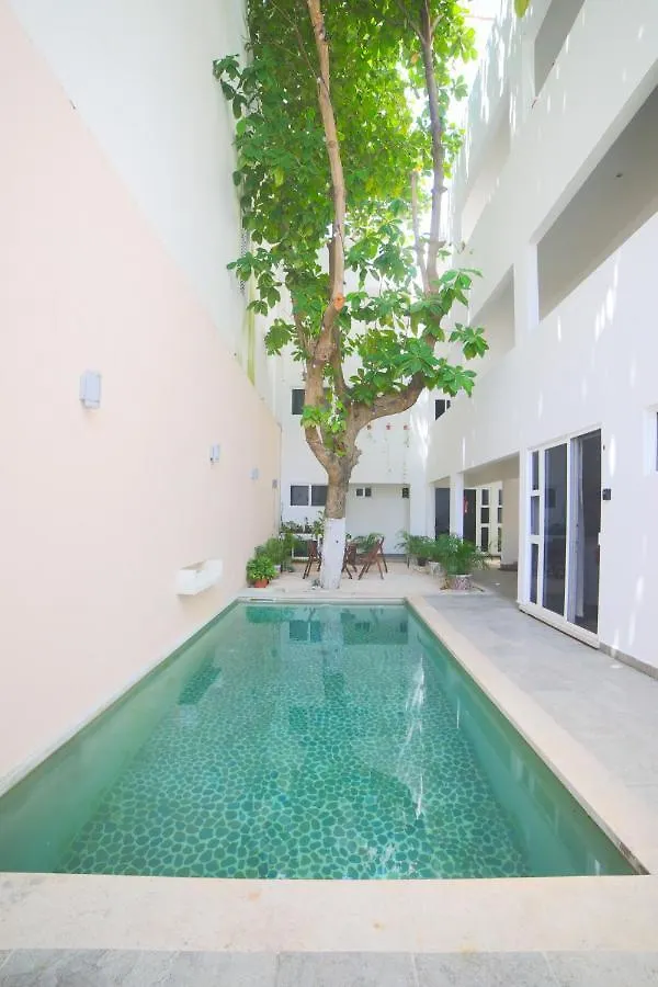 Almond Suites Playa del Carmen Appartement